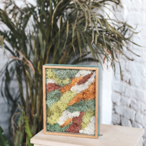 Foto lijst met goud gevuld met rendier mos met een grote kamerplant.