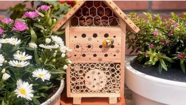 Insectenhuisje van hout in de tuin naast potten met planten en bloemen.