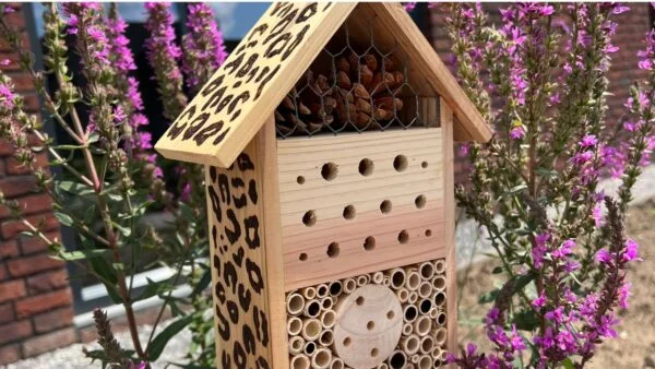Insectenhuisje van hout decoratief bewerkt met de houtbrander.