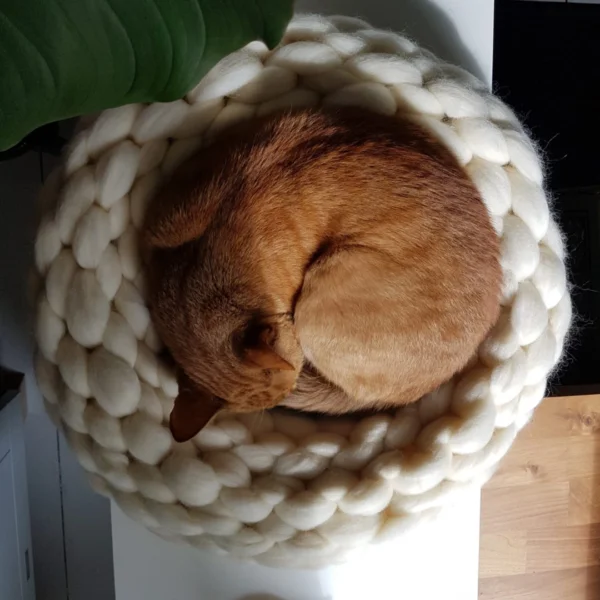 Opgerolde oranje kater in een ronde mand van lontwol ligt lekker te slapen.