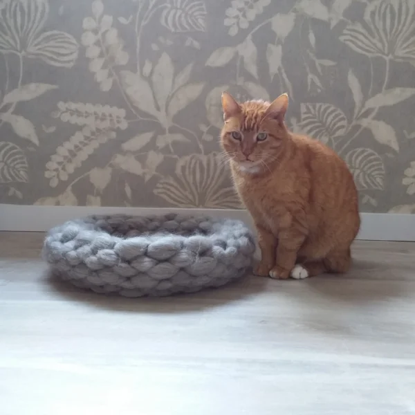 Poes Charlie zit naast de ronde kattenmand van lontwol.