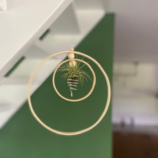 Luchtplantjes DIY 2 houten ringen hangend aan de witte trap met een groene muur.