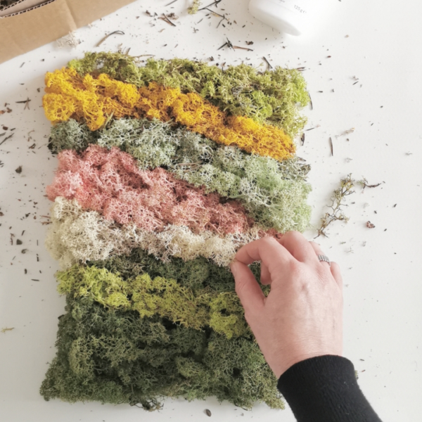 Het maken van een moswandje met je handen als DIY pakket met verschillende kleuren rendiermos in groentinten, geel en roze.