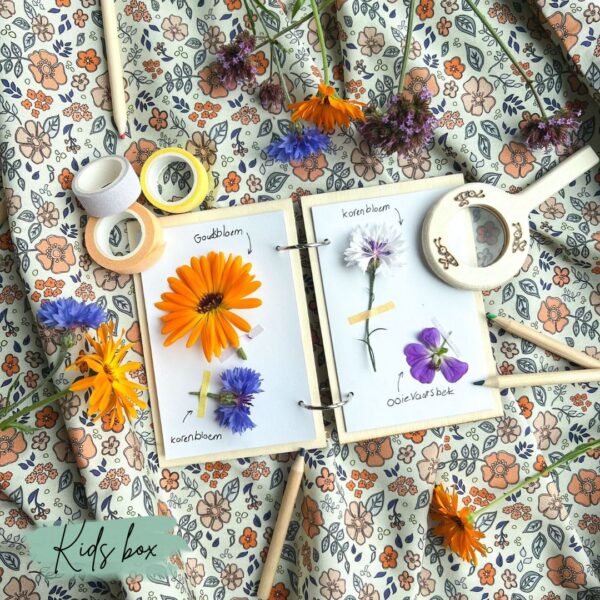 Verzameling van vrolijke bloemetjes geplakt in een notitieboekje om de natuur te ontdekken.
