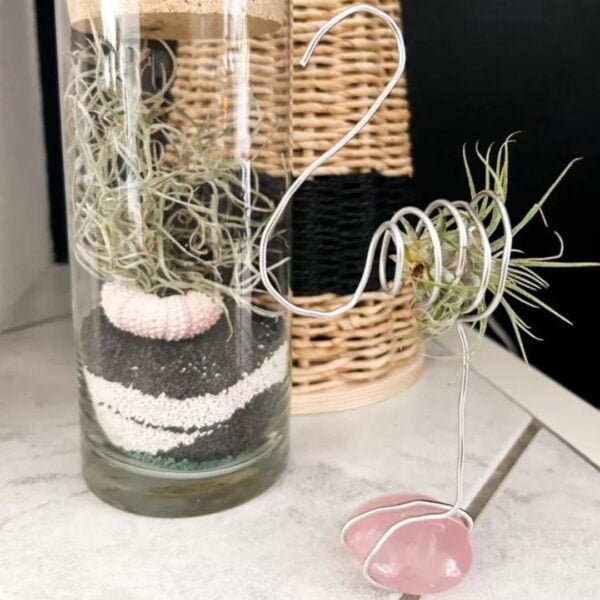 DIY luchtplantjes gemaakt door Tante Truus Kan Alles, feel good blog.