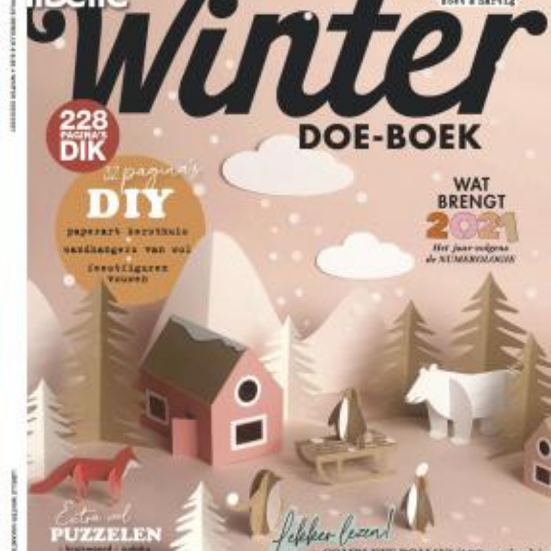 Cover van het Winter Doeboek van Libelle.