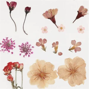 Echte, geperste en gedroogde bloemen en bladeren bedoeld voor decoratie op kaarten, dozen, enz. Set in het pastel roze.