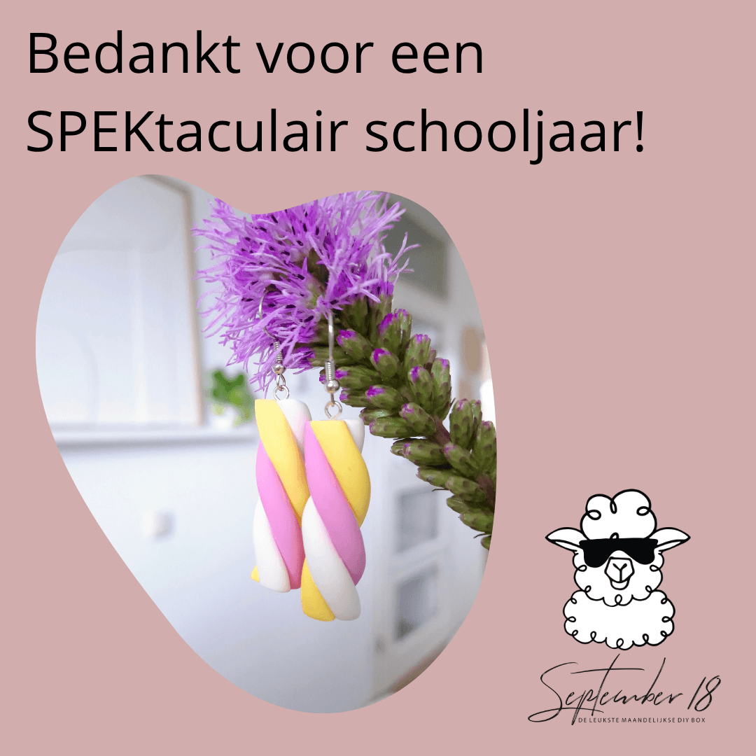 Bedankt voor een SPEKtaculair schooljaar, cadeau tips voor Meesters en Juffen.