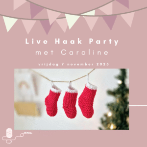 Haak Party – Kerst Sok Haken - Vrijdag 7 november in Heemskerk